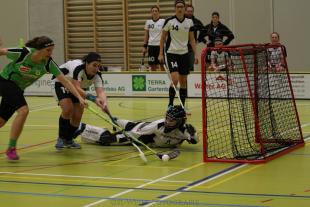 Wiedersehen mit den Berner Oberländerinnen
